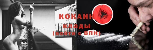 2c-b Инсар