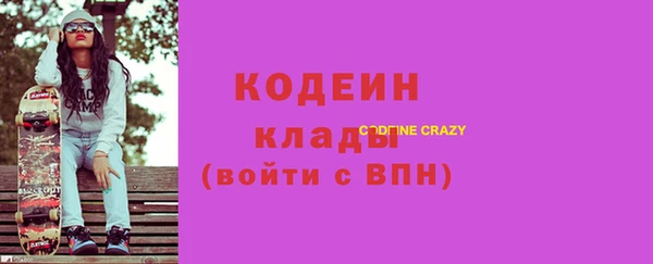 2c-b Инсар