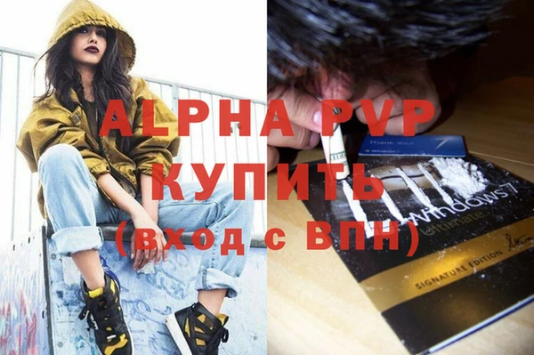 ПСИЛОЦИБИНОВЫЕ ГРИБЫ Инта